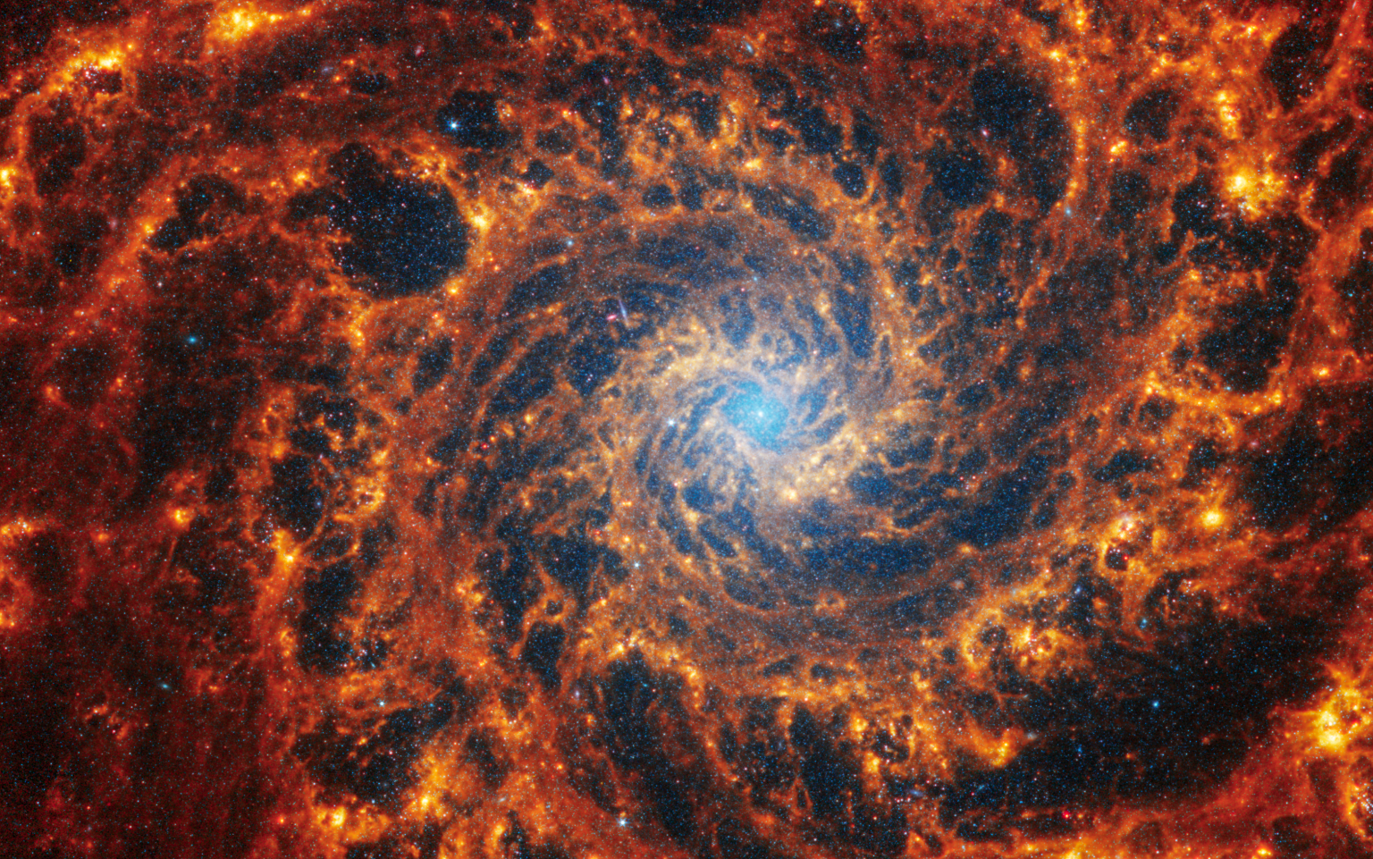 Spiral galaxy NGC 628 is 32 million light-years away in the constellation Pisces. Webb’s image of NGC 628 shows a densely populated face-on spiral galaxy anchored by its central region, which has a light blue haze that takes up about a quarter of the view. In this circular core is the brightest blue area. Within the core are populations of older stars, represented by many pinpoints of blue light. Spiny spiral arms made of stars, gas, and dust also start at the center, largely starting in the wider area of the blue haze. The spiral arms extend to the edges, rotating counterclockwise. The spiraling filamentary structure looks somewhat like a cross section of a nautilus shell. The arms of the galaxy are largely orange, ranging from dark to bright orange. Scattered across the packed scene are some additional bright blue pinpoints of light, which are stars spread throughout the galaxy. In areas where there is less orange, it is darker, and some dark regions look more circular. A prominent dark “bubble” appears to the top left of the blue core. And a wider, elliptical “bubble” to the bottom right.