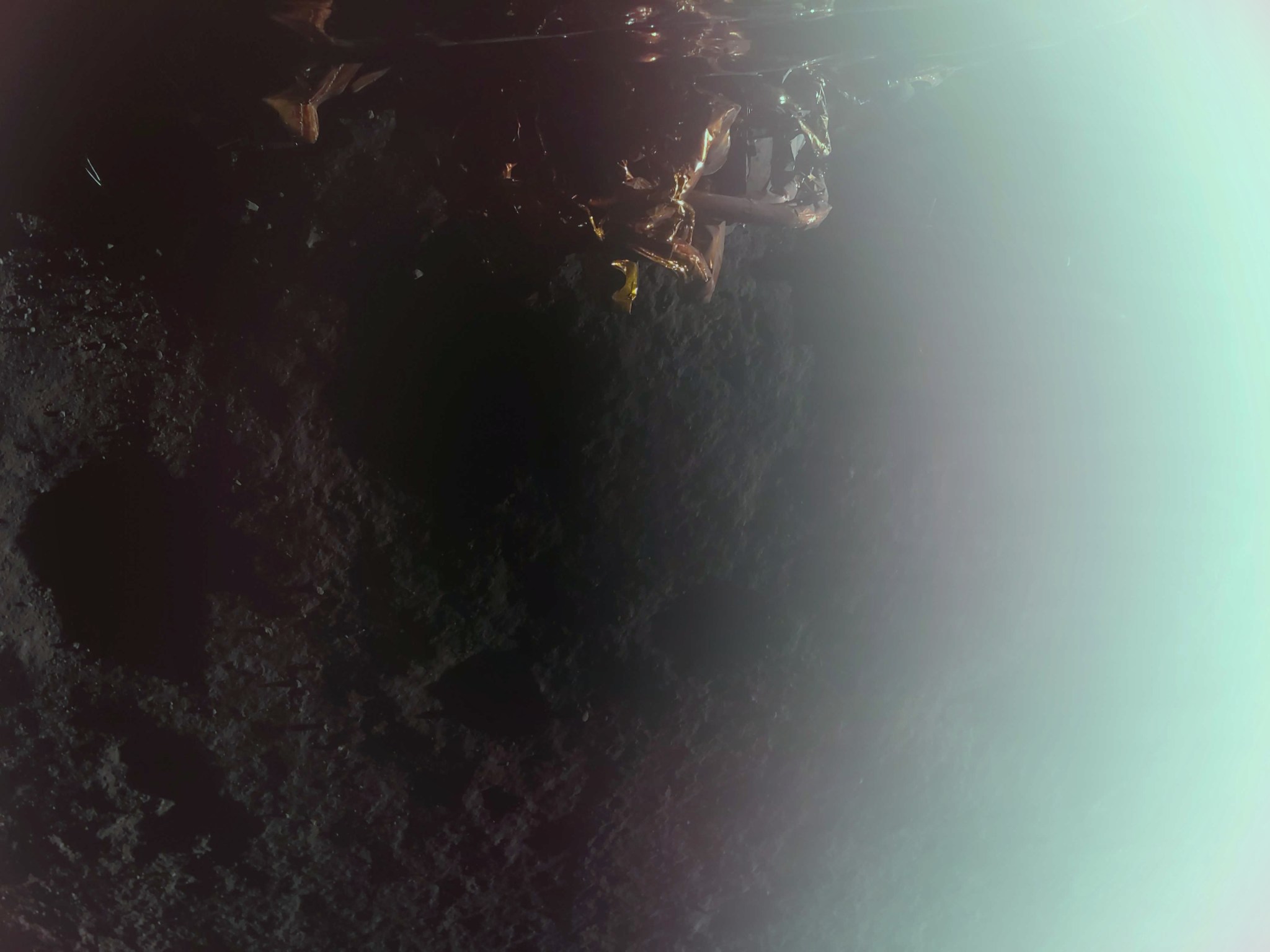 NASAの科学ミッションを搭載したFirefly社のBlue Ghostが月面に着陸（Touchdown! Carrying NASA Science, Firefly’s Blue Ghost Lands on Moon）