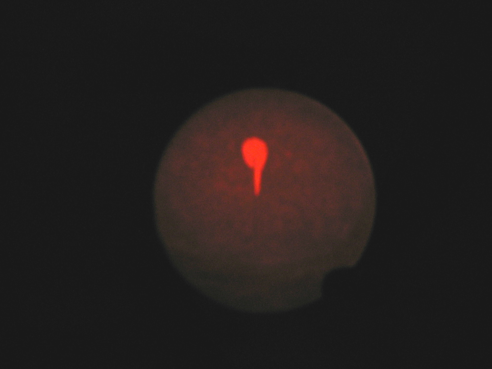 Glowing shape (red) in the center of a dark circular area, resembling a balloon or pin shape against a black background.