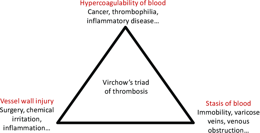 VTE, OCHMO, medical, health, venous thrombosis, blood clots, Virchow