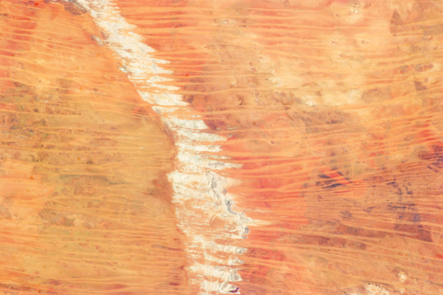 A view of linear dunes in the Great Sandy Desert in Australia from the International Space Station. The sand is mostly orange, with some red spots and some dark brown spots. There is a thick white line that cuts through the middle of the dunes; this is a lake with sediment and salts from evaporated flood waters.