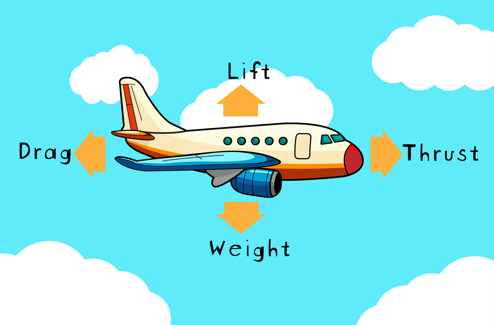 Four forces of flight; drag, lift, thrust, weight
