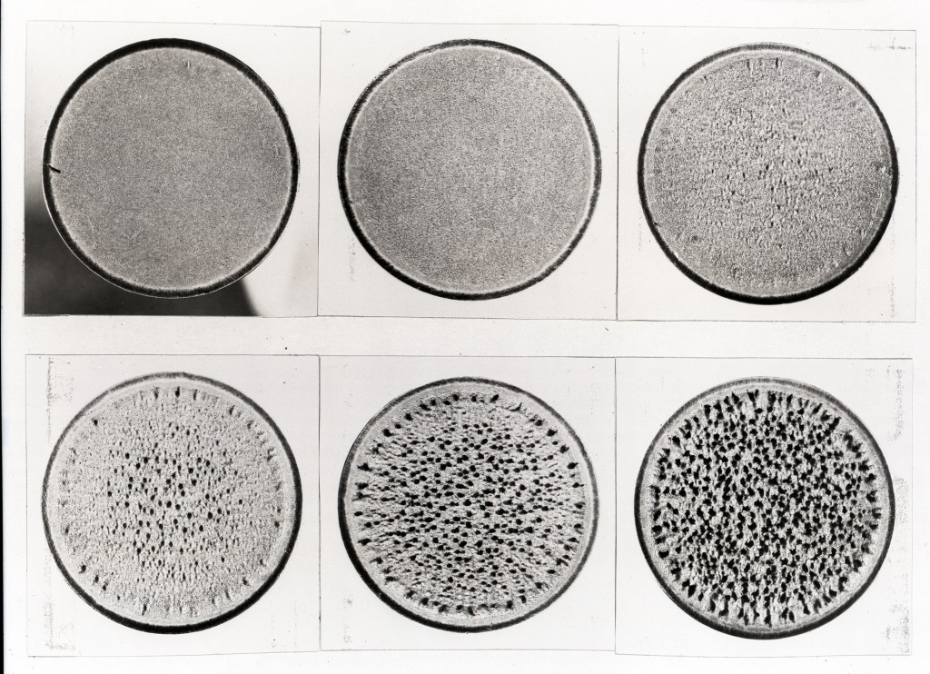 Composite image of 6 discs.