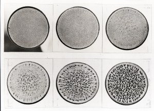 Composite image of 6 discs.