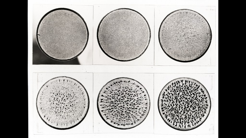 Composite image of 6 discs.