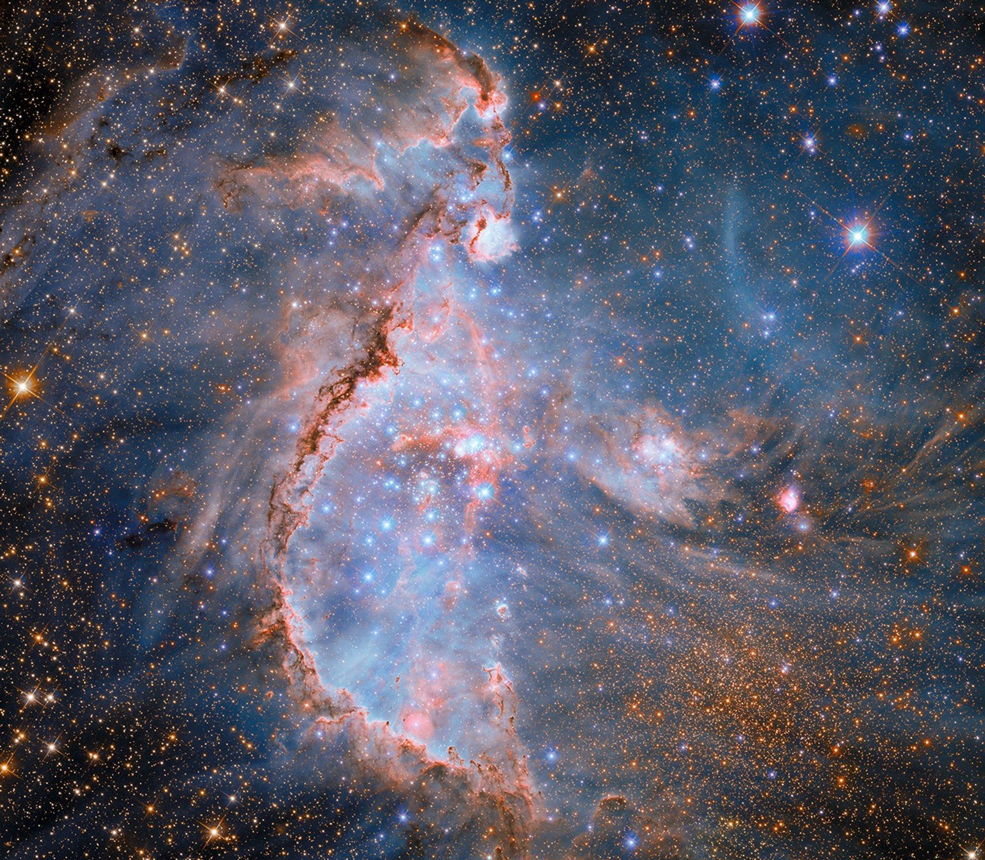 Bright blue stars curve gently toward the center of the image. Nestled around, in front of, and behind the clustered stars are large arcs of dense, reddish-brown dust. Thin, pale-blue wisps of clouds fill the background while denser areas of pinkish clouds appear stacked upon the wispier clouds. Thousands of orange stars are visible in the background behind the clouds of the nebula.