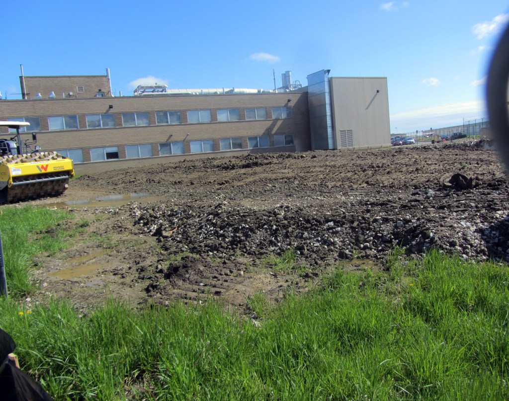 Empty lot with building in background.