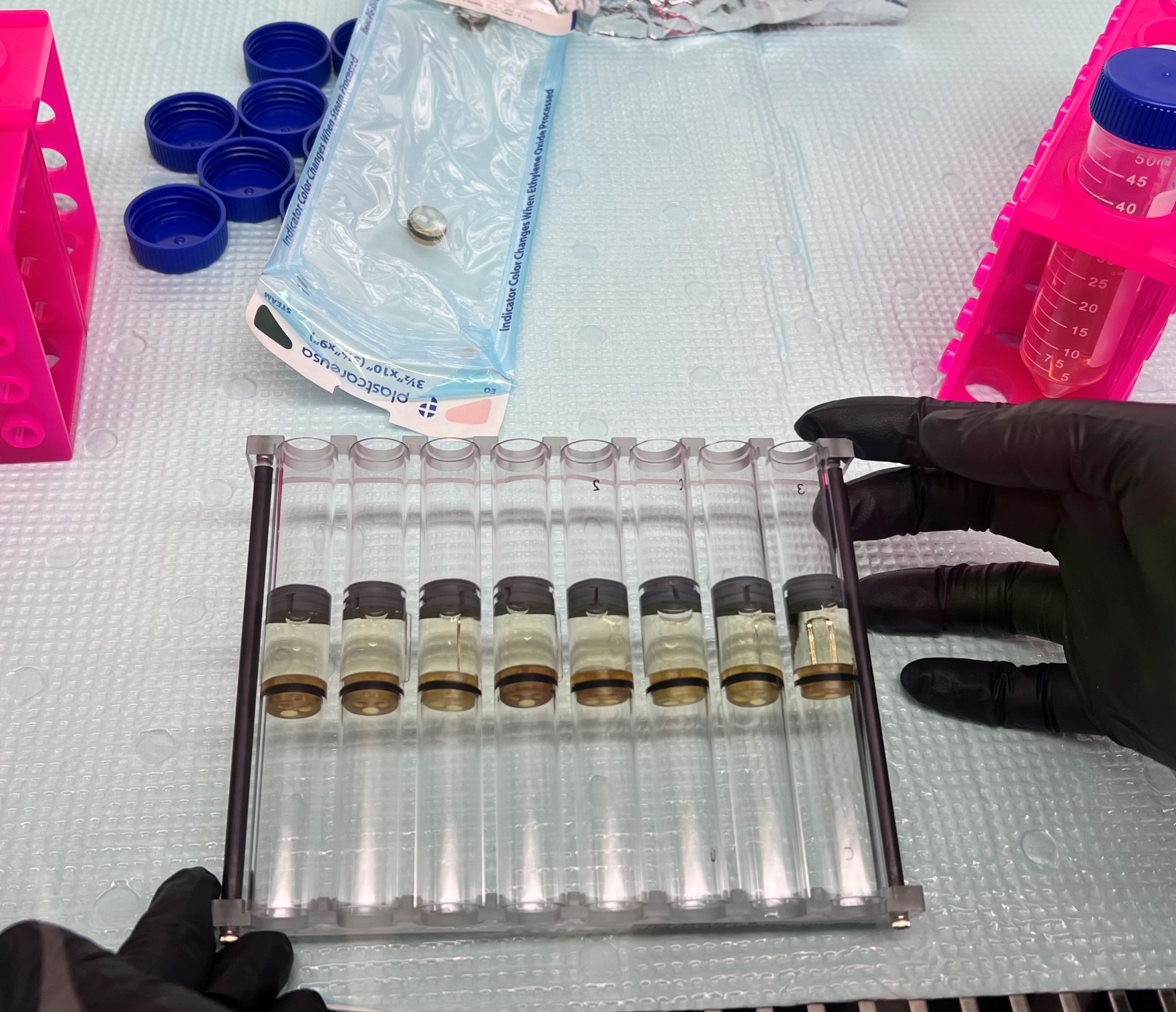 A rack with eight clear tubes lies flat on a white sheet of plastic. Hands in black gloves hold on to the upper right and lower left of the rack. In the background are two pink containers, a clear plastic sleeve with a small silver item in it, and several blue plastic caps.
