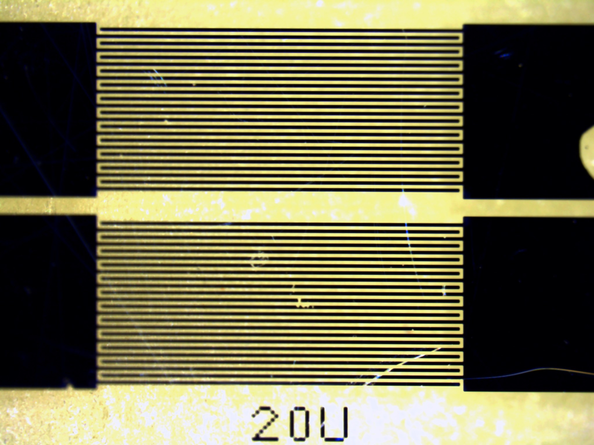 Yellow ceramic substrate with two dark metallic interdigitated finger patterns crossing the substrate horizontally with a 20U label on the bottom.