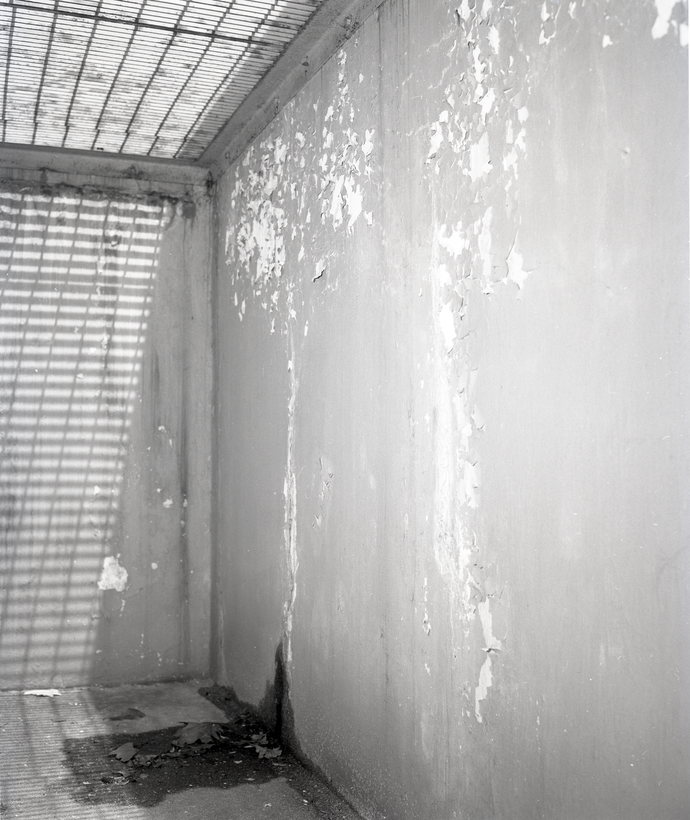 Concrete trough beside building.