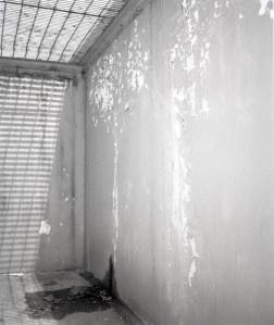 Concrete trough beside building.