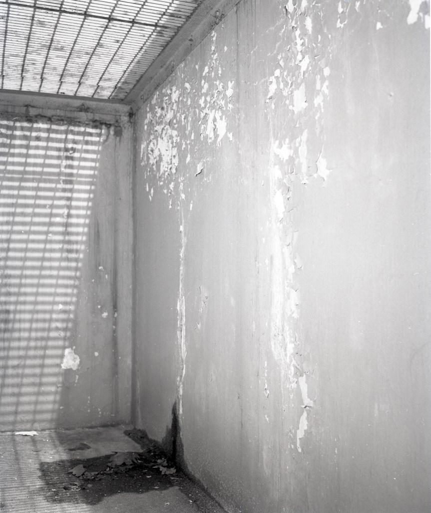 Concrete trough beside building.