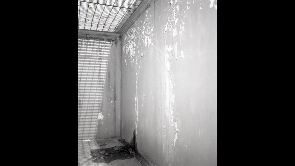 Concrete trough beside building.