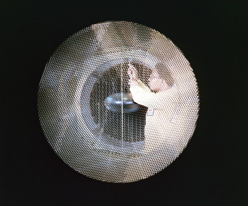 Researcher behind screen adjusts drive motor
