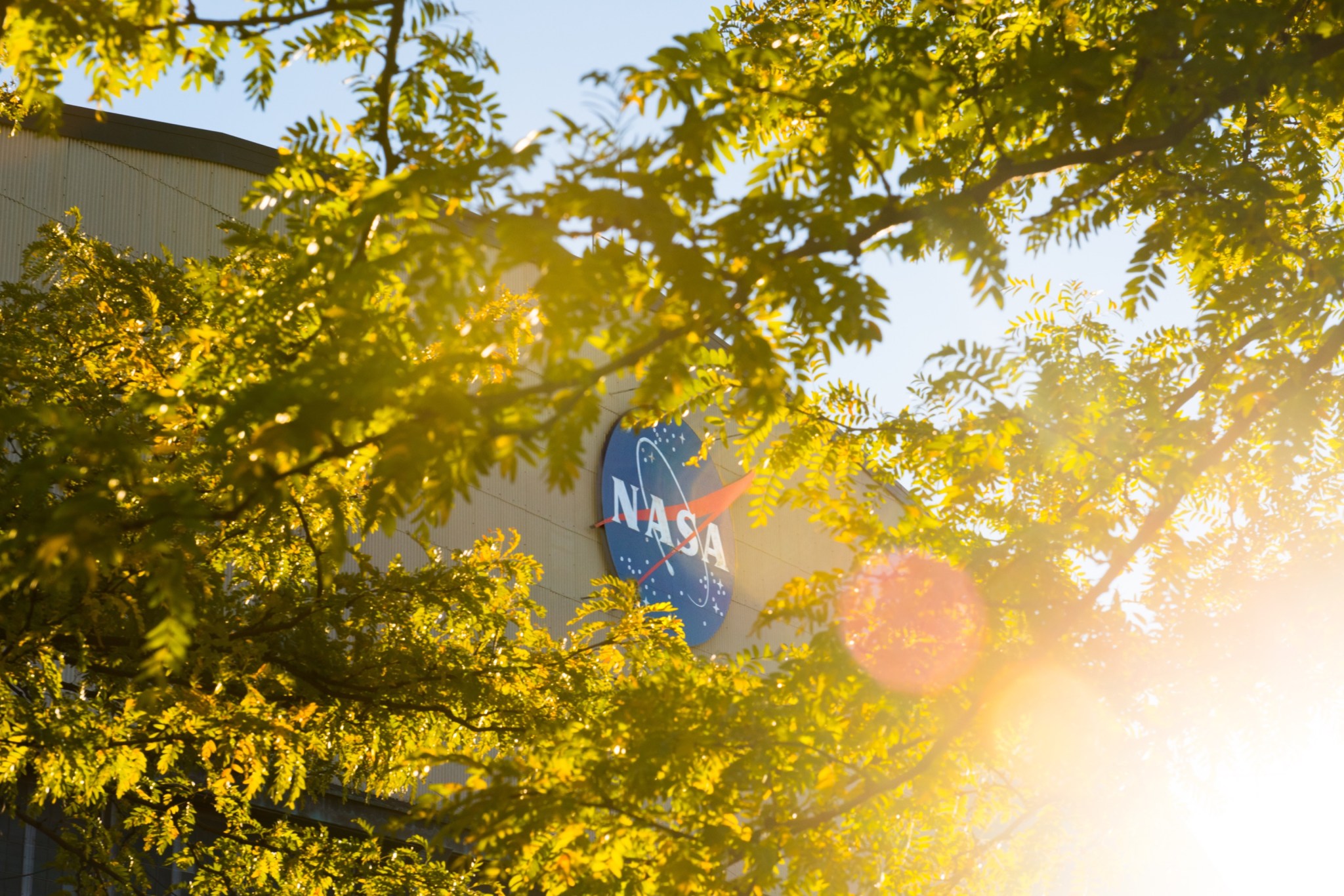 The NASA meatball logo, attached to a gray building, is seen through bright green leaves lit by the Sun.