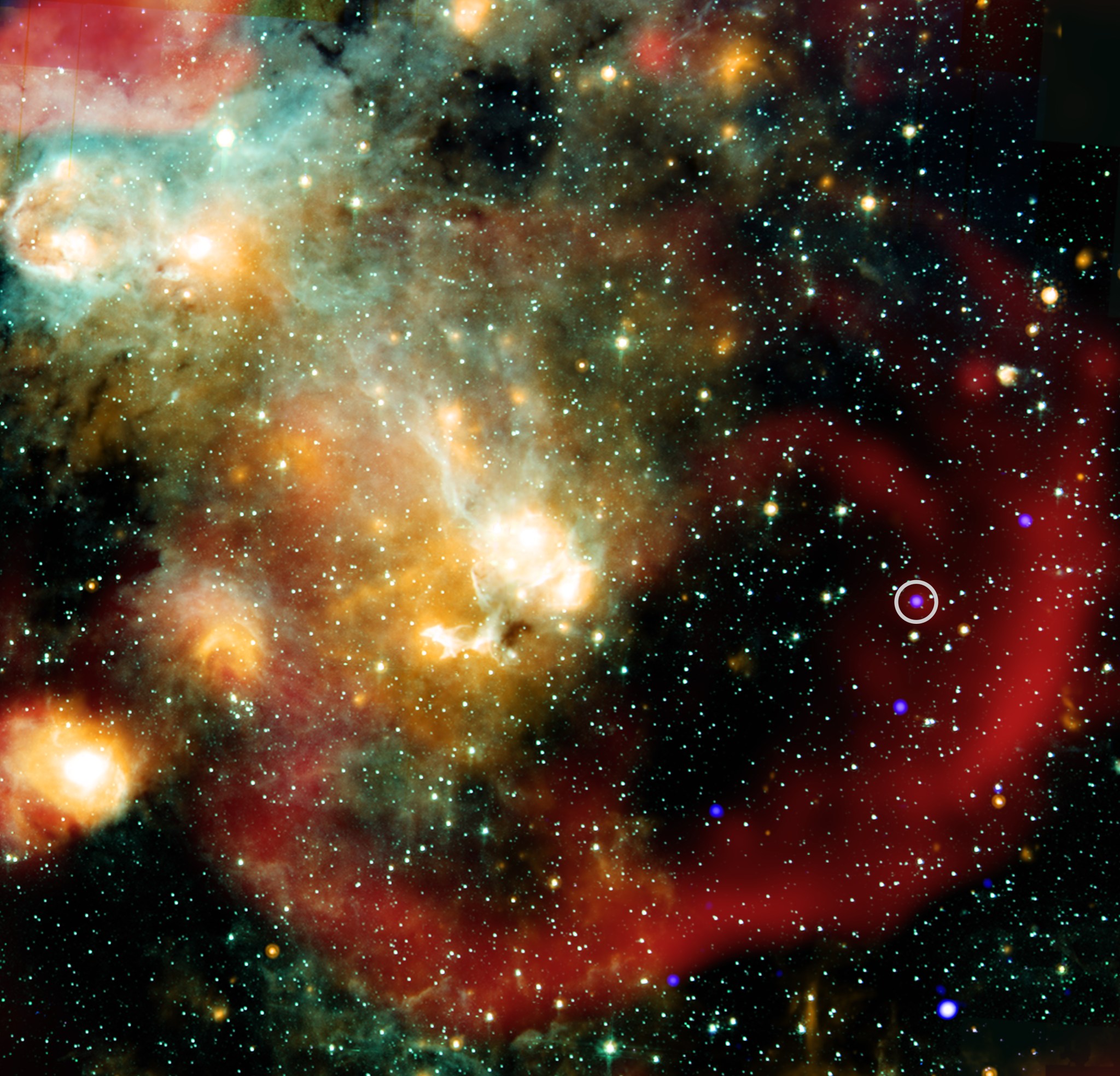 Scientists have discovered a star behaving like no other seen before, giving new clues about the origin of a class of mysterious objects. This object, known as ASKAP J1832, shows regular changes in both radio wave and X-ray intensity every 44 minutes, the first time such variations have been seen for a class of objects discovered only three years ago. X-rays from Chandra are shown along with infrared data from the Spitzer Space Telescope, and radio from LOFAR. An inset shows a more detailed view of the immediate area around this unusual object in X-ray and radio light.