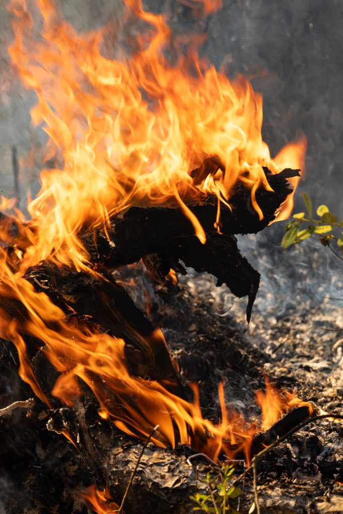 A fallen branch, now black with soot, burns with yellow and orange flames.