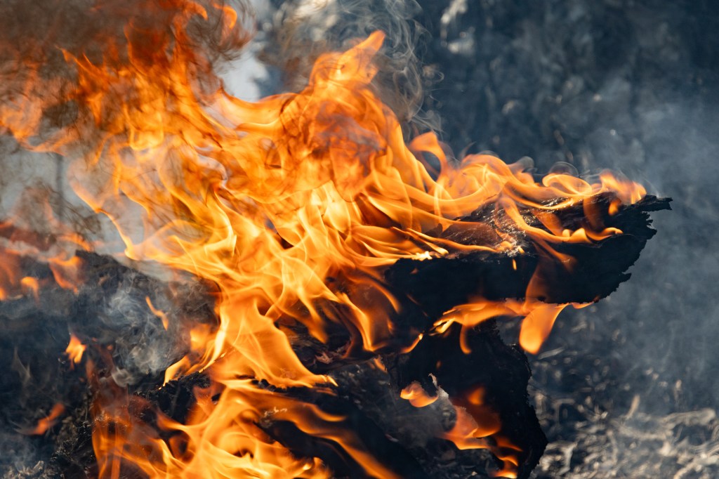 A fallen branch, now black with soot, burns with yellow and orange flames.