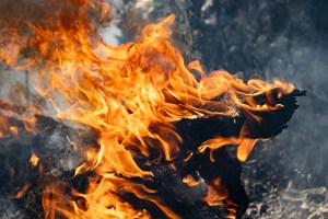 A fallen branch, now black with soot, burns with yellow and orange flames.