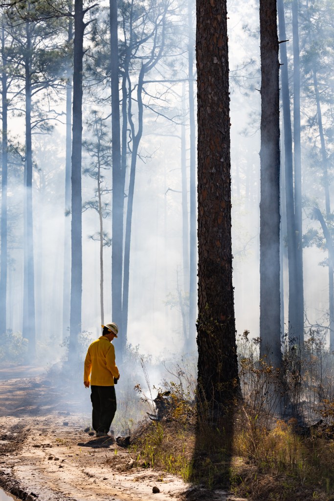 A firefighter in a yellow long-sleeved and white hard hat looks down at smoldering brush, with a haze of white smoke behind him.