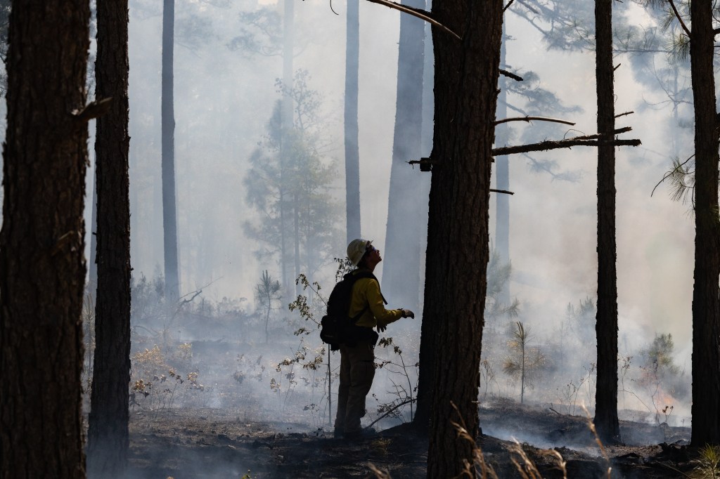 A figure in protective equipment and a backpack stands in a blackened area looking up at a tree, silhouetted against smoke.