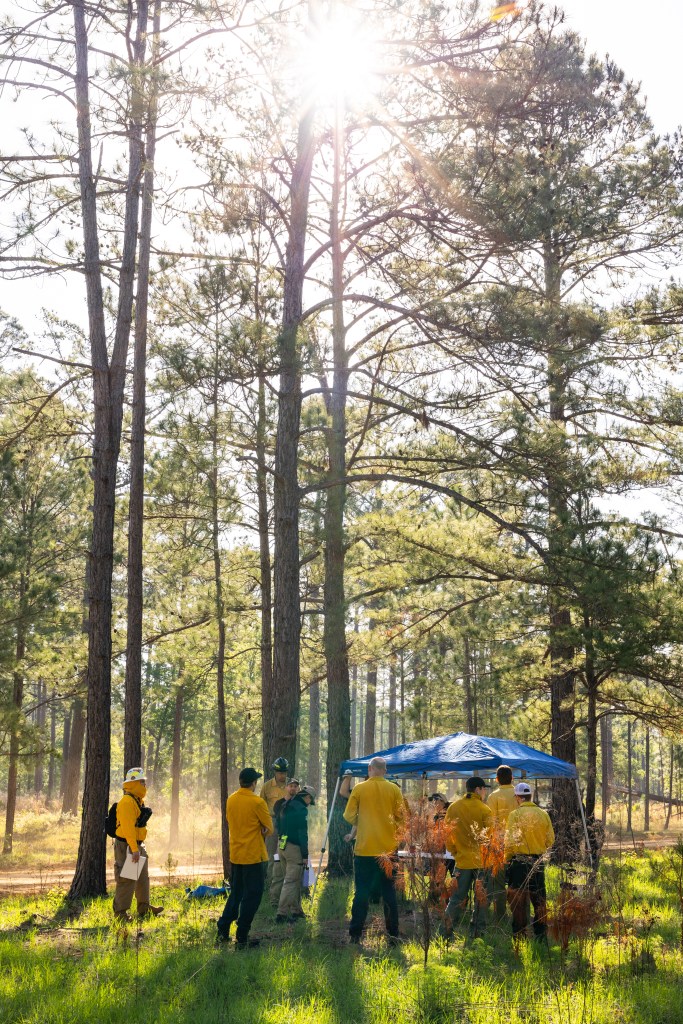 Figures all dressed in yellow long-sleeved shirts and dark pants gather around a blue tent in a grassy field, with the sun peeking through the trees above.