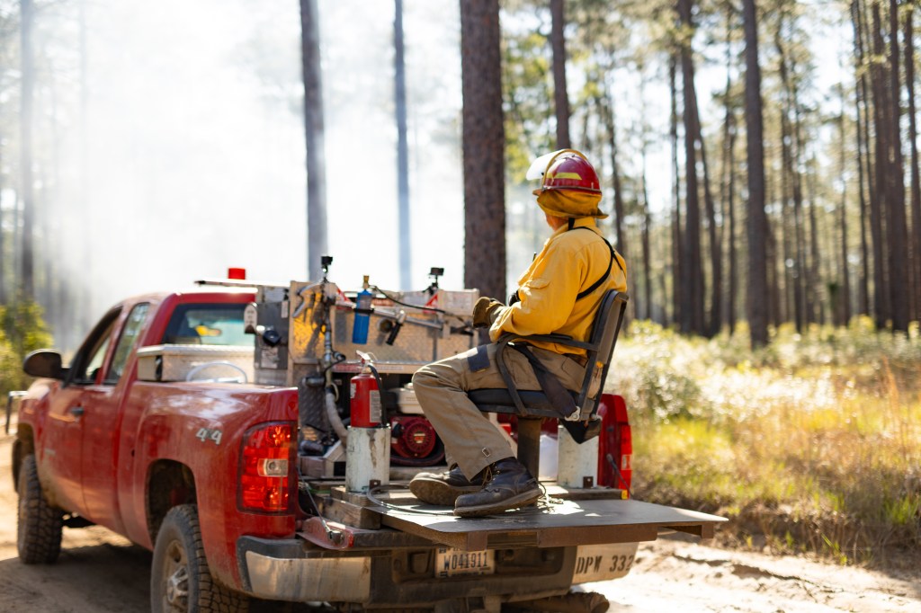 A firefighter rides in the back of red pickup truck on a dirt road in a forest.