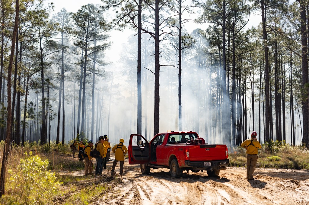 A group of firefighters in yellow long-sleeveds stand near a red pickup truck and view smoke rising from the forest in front of them.