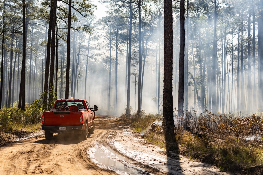 A red pickup truck drives down a dirt road in a forest full of smoke.