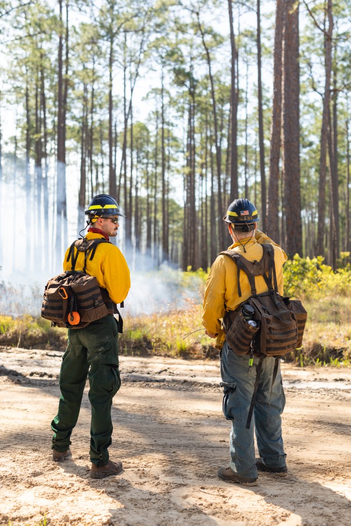 A group of firefighters in yellow long-sleeved shirts stand near a red pickup truck and view smoke rising from the forest in front of them.