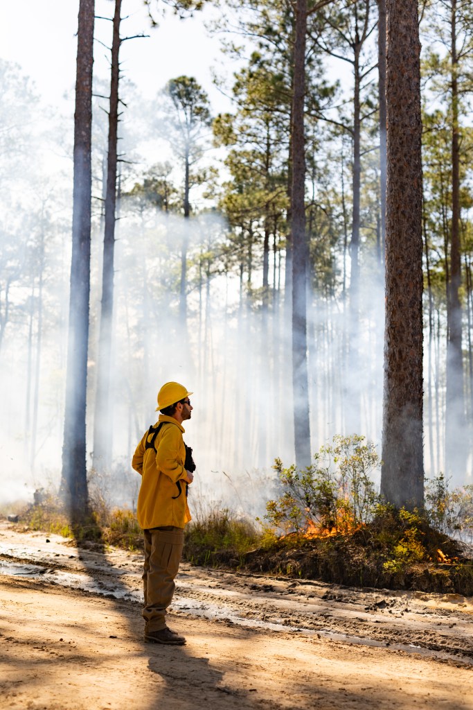 A man in a yellow long-sleeved and hard hat stands on a dirt road, looking out into a forest filled with smoke. In front of him, brush on the forest floor is burning.