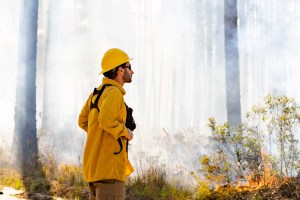 A man in a yellow long-sleeved and hard hat stands on a dirt road, looking out into a forest filled with smoke. In front of him, brush on the forest floor is burning.