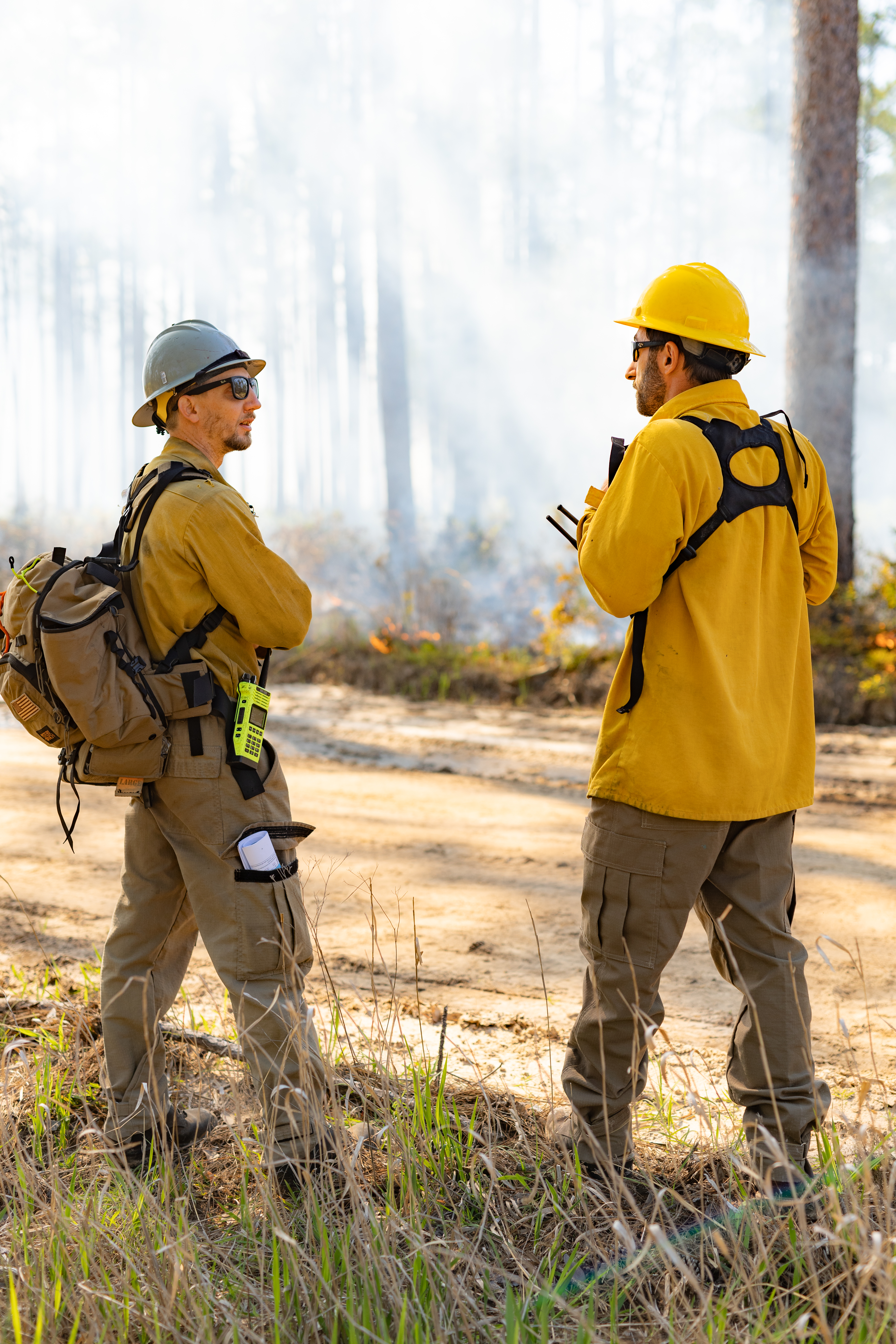 Two men, both in yellow long-sleeved shirts, khaki green pants, and hardhats stand speaking to eachother, looking at a forest where a plume of smoke rises.