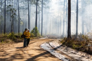 Two firefighters stand on a dirt road, looking out into a smoke-filled forest.