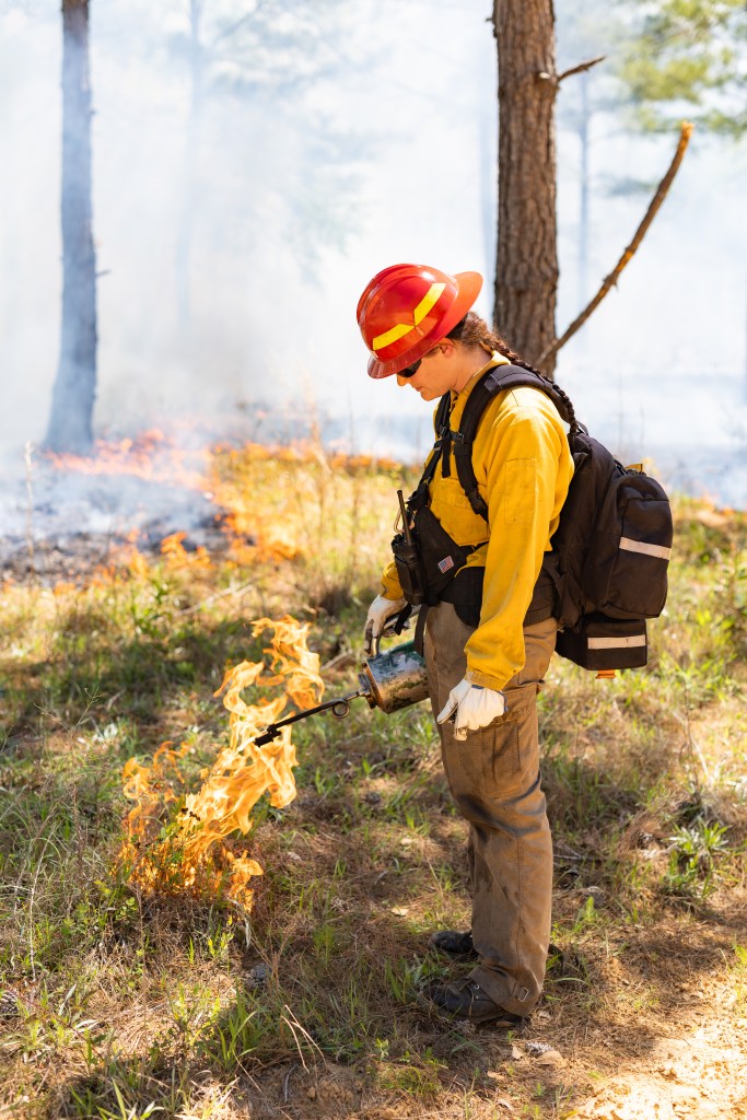 A firefighter in a yellow shirt, brown pants, red hard hat, black backpack, and braid down her back uses what looks like a metal watering can to pour fire into green grass. In the background, more fire is visible burning its way through brush.