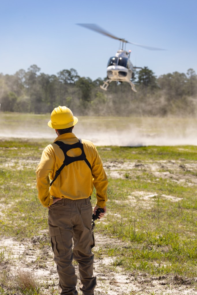 A man in a yellow long-sleeved and hard hat stands with his back to the camera, watching a helicopter land in a field.