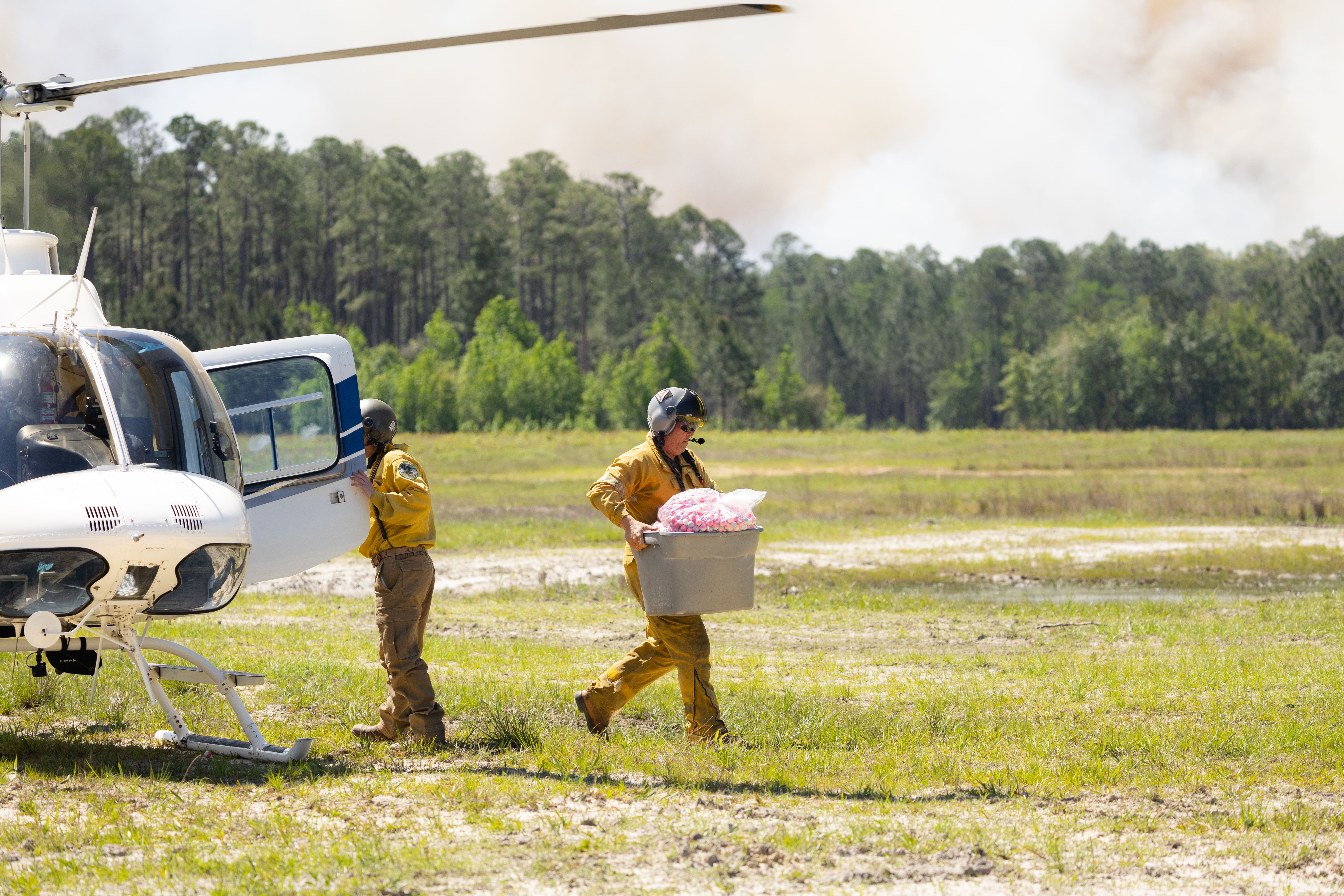 Two men in yellow shirts and helmets unload a helicopter in a grassy clearing. One of them walks away from the helicopter, carrying a large bin full of pink spheres.