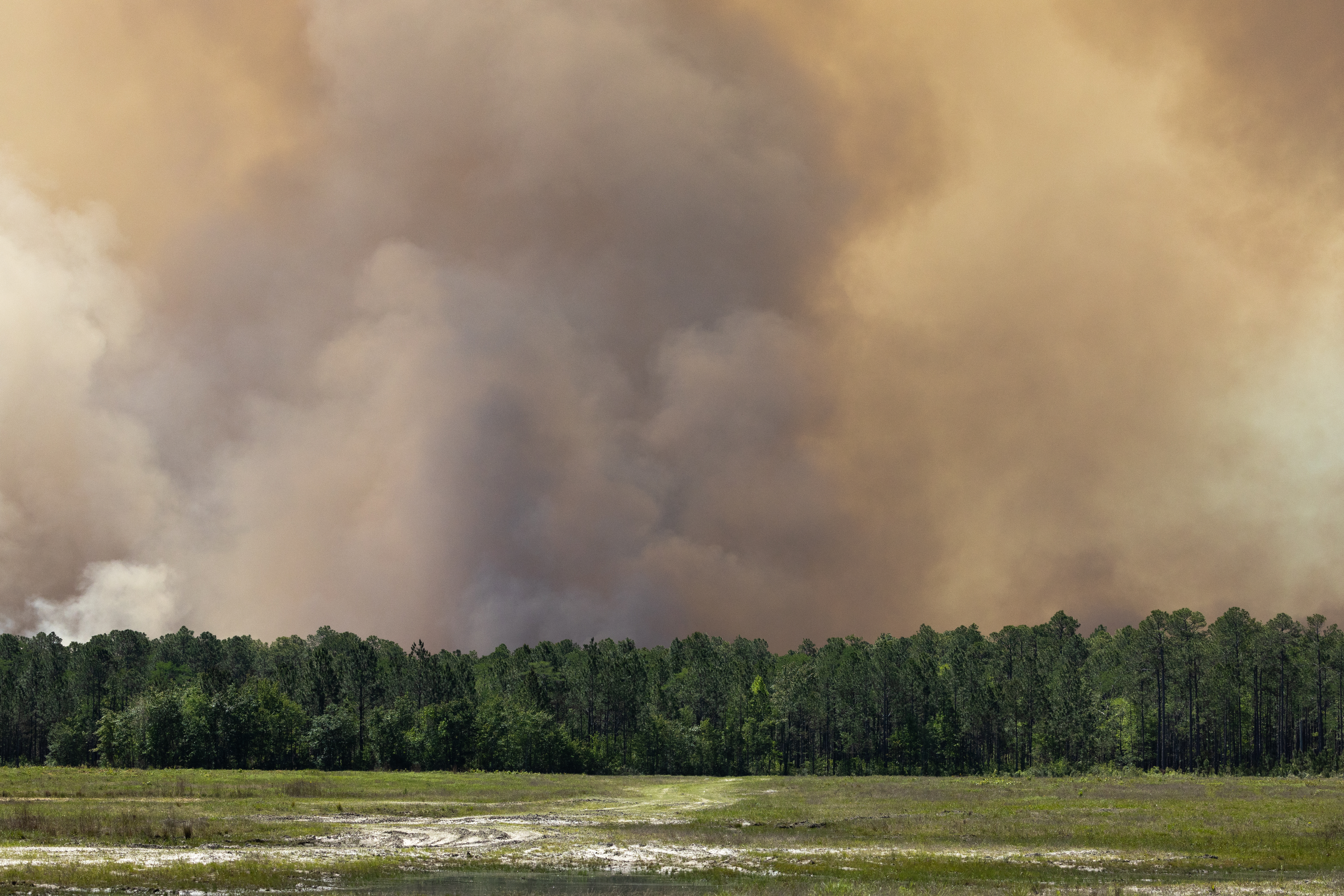 Brown smoke rises above trees and a grassy clearing.