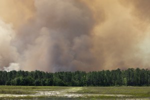Brown smoke rises above trees and a grassy clearing.