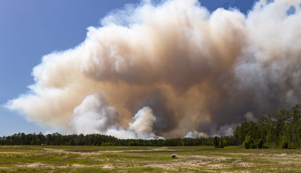 Large plumes of smoke, mottled white, gray, and tan, billow over a treeline, with a grassy clearing in the foreground.