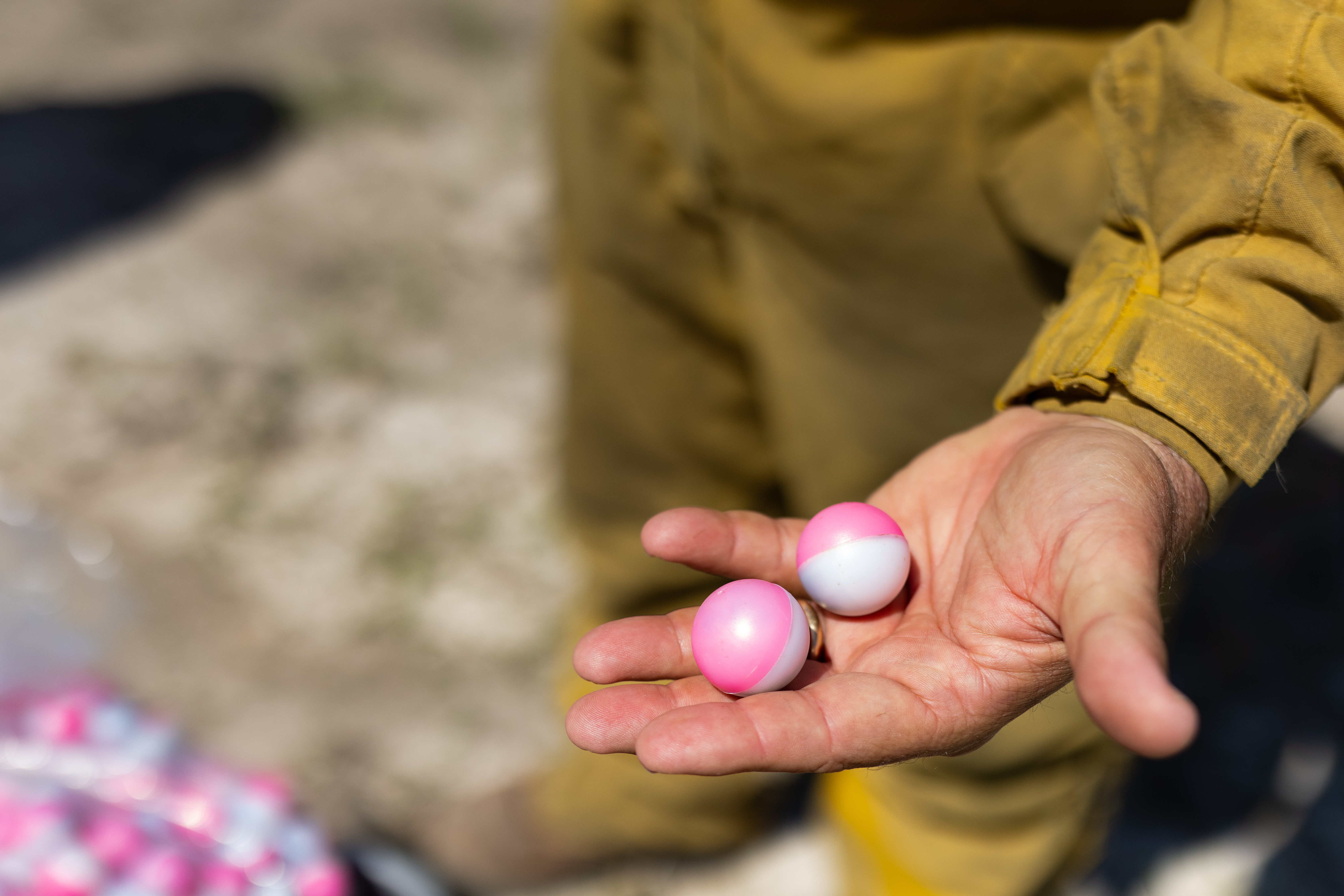 A figure in a dirty yellow jumpsuit holds their hand out with two small plastic spheres about the size of a ping pong ball. Each sphere is half white and half pink.