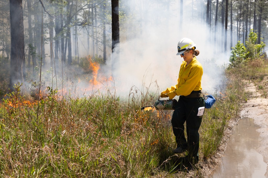 A woman in a yellow long-sleeved and protective gear holds a metal canister with a spout, dripping fire into green brush. In the background small flames send up a cloud of white smoke.