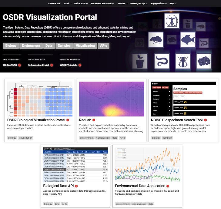 New Viz Portal