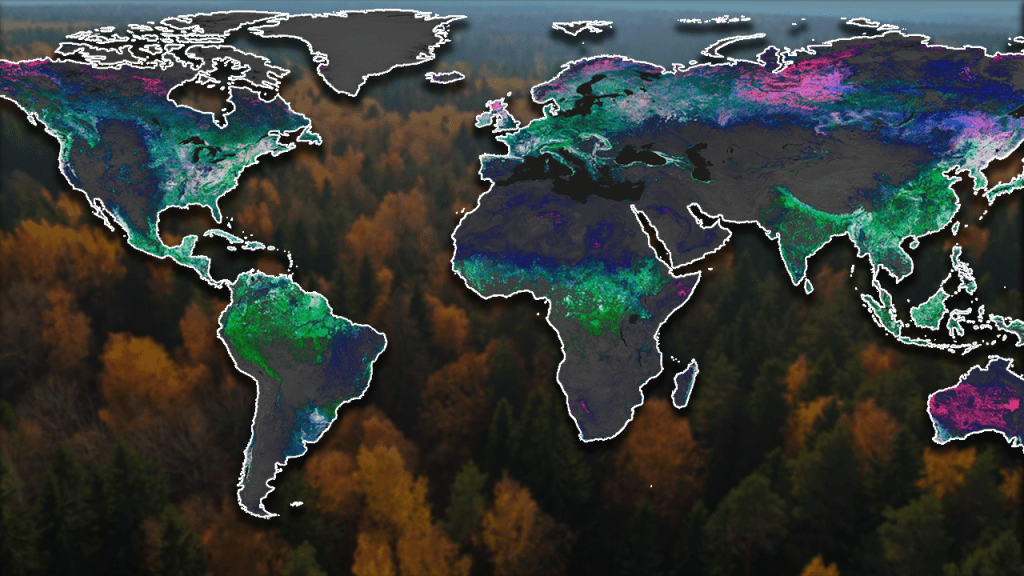 NASA’s PACE Mission Reveals a Year of Terrestrial Data on Plant Health