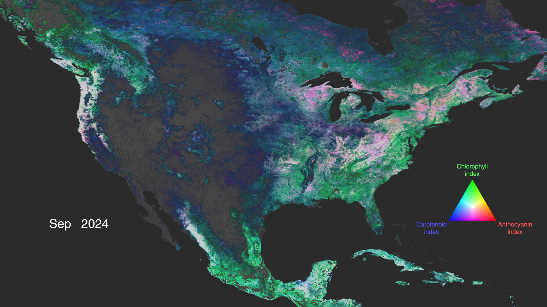 A visualization of North America where the land is overlayed with colors representing data. The east side of the land swirls with blues, greens, and pinks, while the west side is primarily gray.