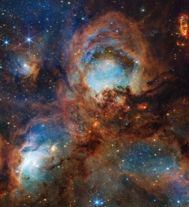 A section of the Cat’s Paw Nebula, a local star-forming region composed of gas, dust, and young stars. Four roughly circular areas are toward the center of the frame: a small oval toward the top left, a large circle in the top center, and two ovals at bottom left and right. Each circular area has a luminous blue glow, with the top center and bottom left areas the brightest. Brown-orange filaments of dust, which vary in density, surround these four bluish patches and stretch toward the frame’s edges. Small zones, such as to the left and right of the top-center blue circular area, appear darker and seemingly vacant of stars. Toward the center are small, fiery red clumps scattered among the brown dust. Many small, yellow-white stars are spread across the scene, some with eight-pointed diffraction spikes that are characteristic of Webb. A few larger blue-white stars with diffraction spikes are scattered throughout, mostly toward the top left and bottom right. In the top right corner is a bright red-orange oval.