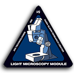 lmm-logo