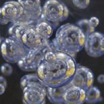 Two-Phase Flow in a Microgravity bubbles