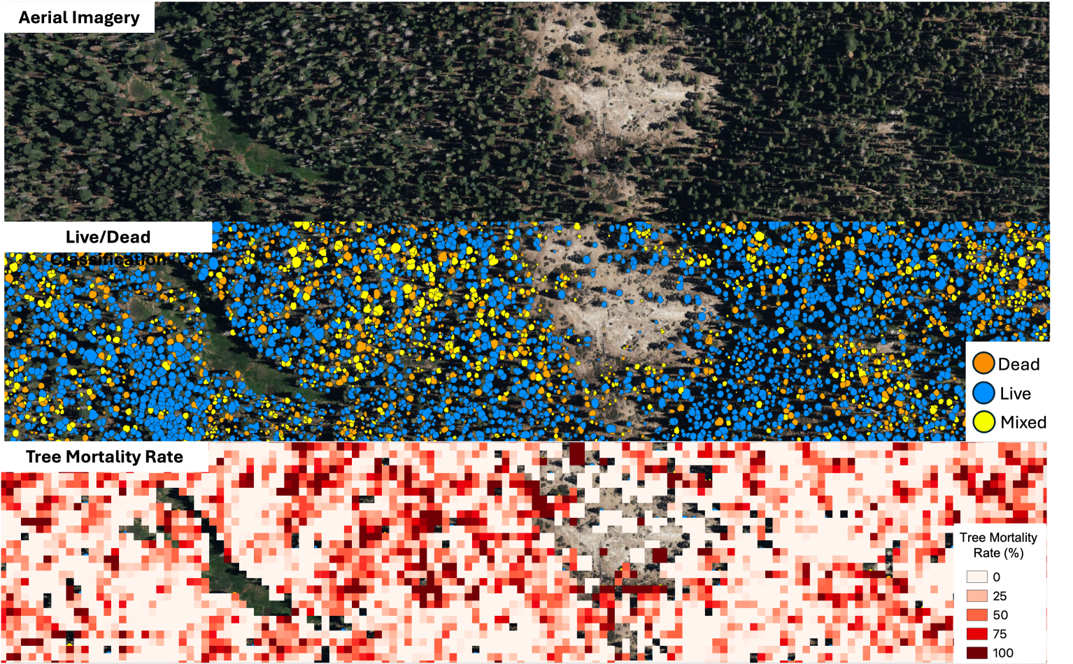 Three images are stacked on top of each other, of the same satellite image of a forest. The top one is the true color version in mostly dark green, the middle one highlights each tree in either blue or yellow, and the bottom one is a white background with red speckles where each tree is.