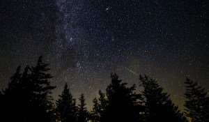 The night sky is covered in small white points of light - these are stars. Slightly right of middle, a green and yellow streak goes across the sky. The bottom of the picture is lined with the shadow of treetops.
